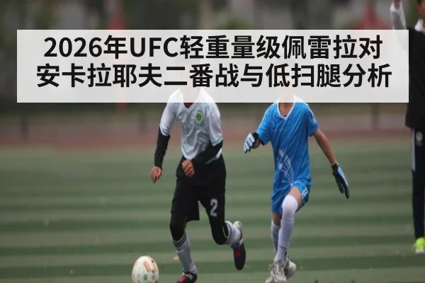 2026年UFC轻重量级佩雷拉对安卡拉耶夫二番战与低扫腿分析
